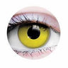 PRIMAL - Verres de contact Primal - Raven - Party Shop