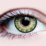 PRIMAL - Verres de contact Primal - Sunrise Jade - Party Shop