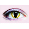 PRIMAL - Verres de contact Primal - Thriller - Party Shop