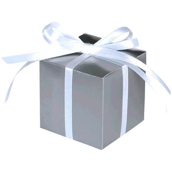 Mini Boites Cadeau (100) - Argent Party Shop