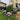 PARTY SHOP - Montages Ballons - Piquets Terrain - Party Shop