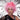 WESTBAY - Perruque Westbay Blush Punk Rose - Party Shop