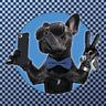 HAVERCAMP - Serviettes De Table - Cool Bulldog 16 Ans - Party Shop
