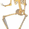 sunstar industrie - 5ft full body skeleton with LED light strings – spooky Halloween decoration for haunted house, indoor & outdoor décor, and scary party setups. Party Shop 