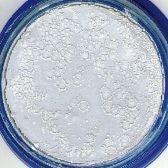 SNAZAROO - Snazaroo - Pastille De Maquillage Professionnel - Party Shop