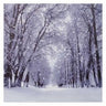 ATTITUDE IMPORTS - Tableau Hivernale - Foret Enneigee - Party Shop
