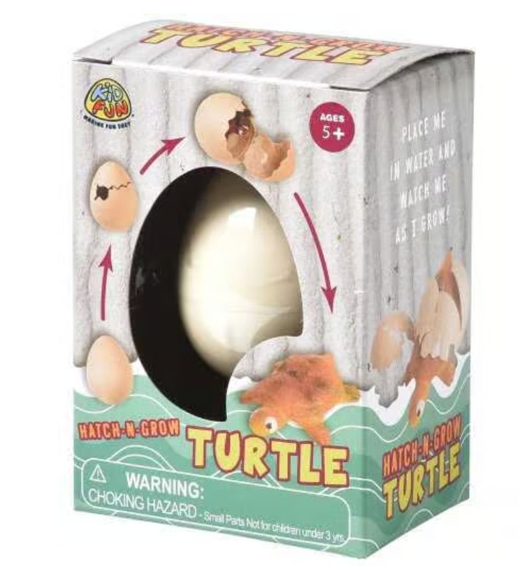 Tortue Dans L'Oeuf - Éclore & Grandit Party Shop