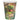 Verres 9Oz Dinosaure Multicolore (10) Party Shop