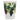 Santex - Verres 9Oz - Viticole (10) - Party Shop