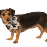 RUBIES - Accessoires Pour Animaux - Foulard De Star Wars - Party Shop