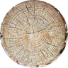 HAVERCAMP - Assiette Ronde 15Po - Rondin De Bois - Party Shop
