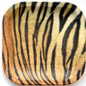 HAVERCAMP - Assiettes 7Po - Mixe 8 (Tigre-Leopard-Giraffe- Zebre) - Party Shop