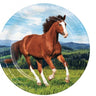Creative Converting - Assiettes 9Po (8) - Cheval & Poney - Party Shop