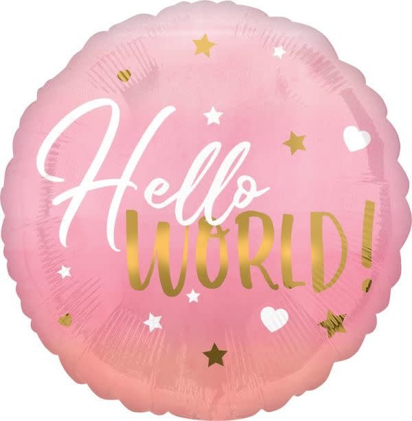 Ballon Mylar 18Po - Hello World Rose Party Shop