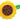 Ballon Mylar Standard - Tournesol Party Shop