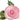 Ballon Mylar Supershape - Fleur Rose Party Shop