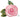 Ballon Mylar Supershape - Fleur Rose Party Shop