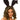 Bandeau Oreille De Lapin En Velour - Party Shop