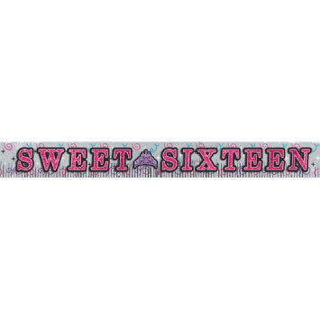 Bannière Métallique 10'X11.5" - 16 Sweet Sisteen Party Shop