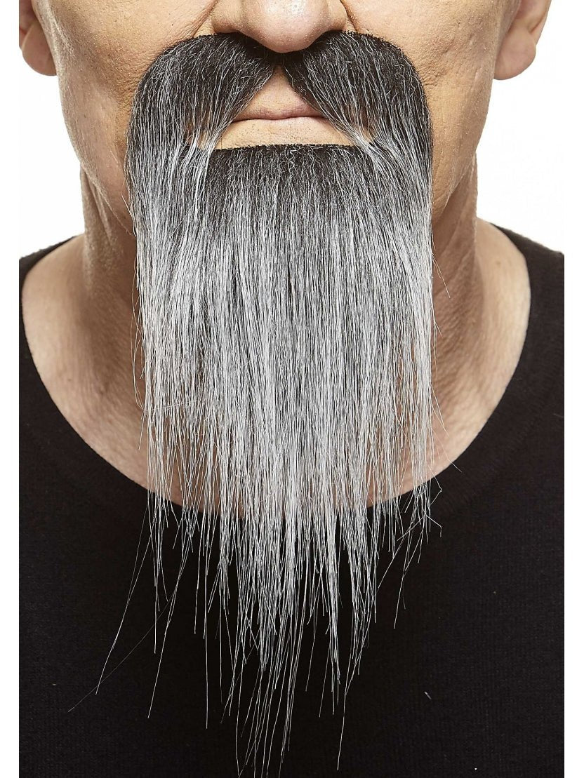 Barbe Longue & Moustache Haut De GammeParty Shop