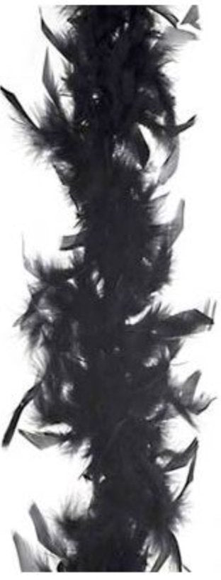 FUN WORLD - Boa À Plumes - Couleurs Assorties - Party Shop